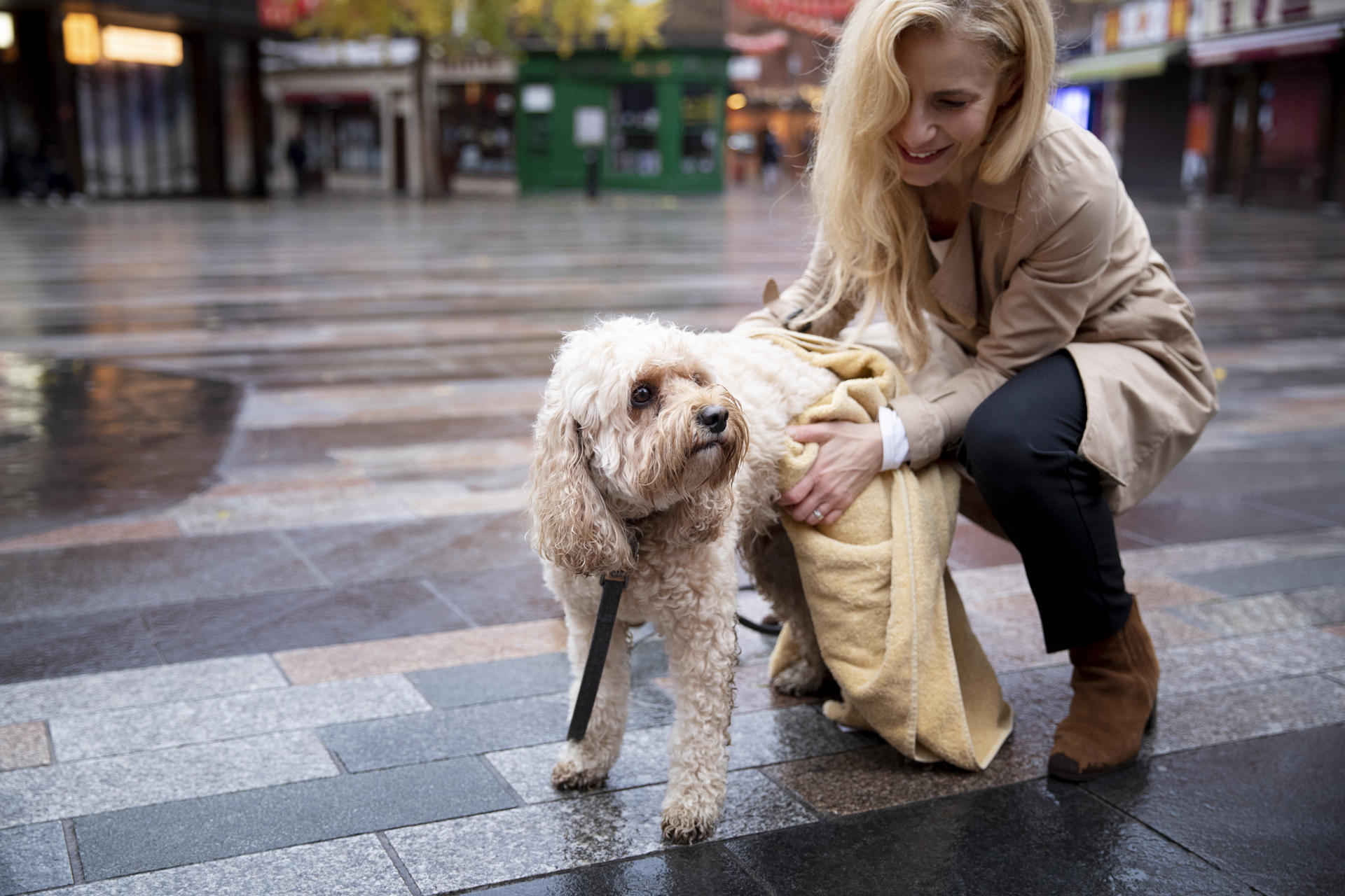 Foto de un perro y una mujer en la ciudad