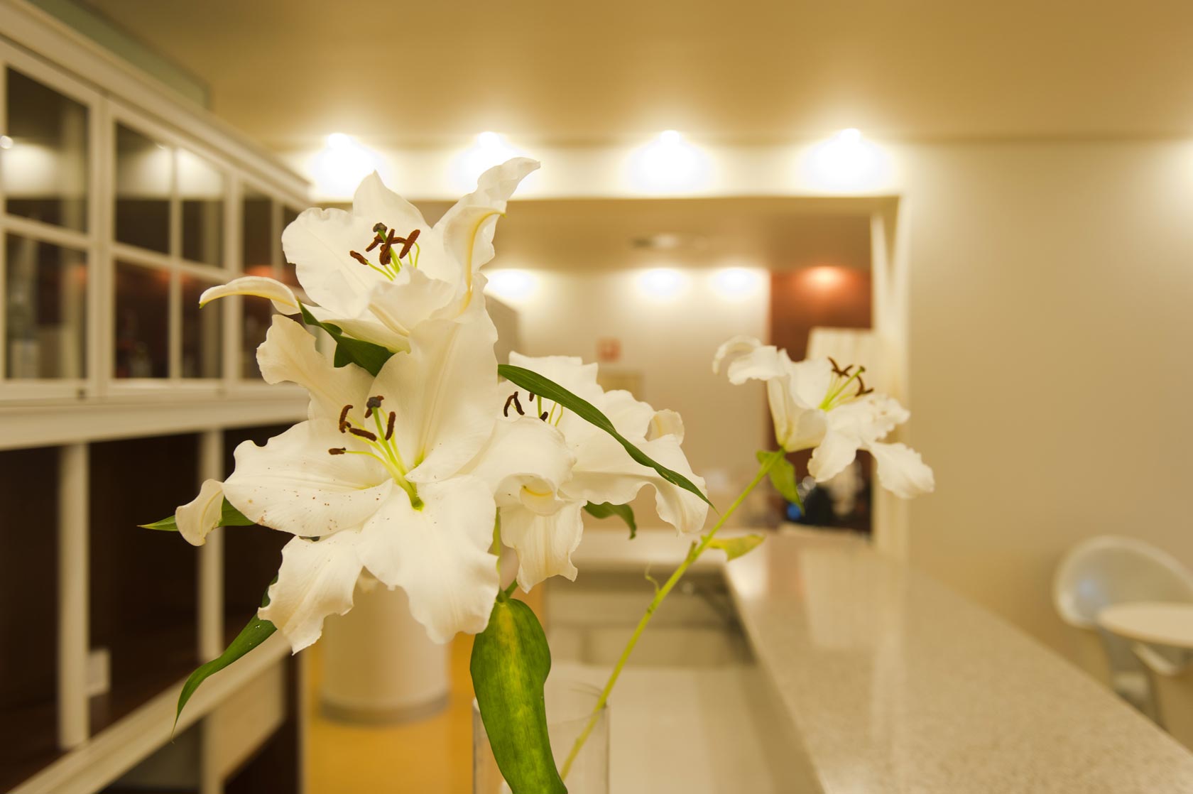 Foto de una flor de los salones de El Palmeral Foto de una flor de los salones de El Palmeral