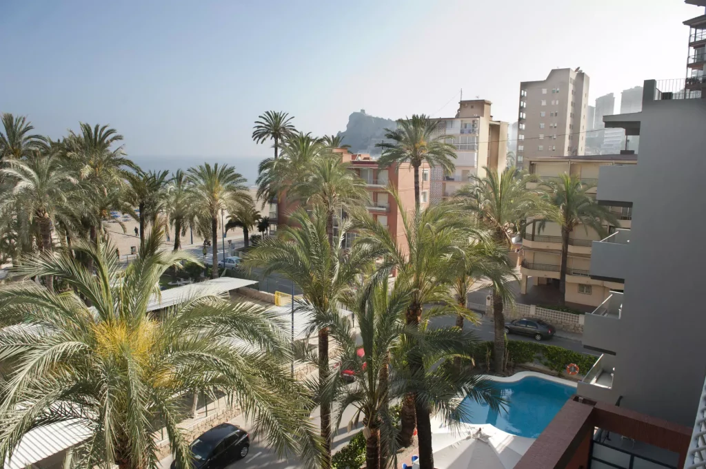 Foto desde una habitación doble con vistas en el Hotel Palmeral
