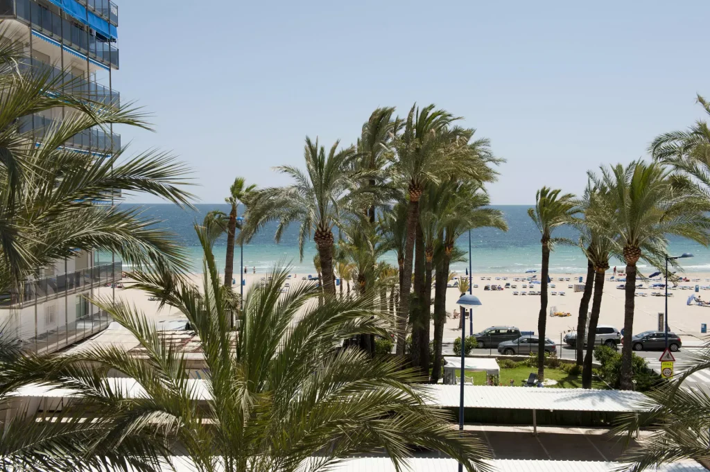 Foto desde una habitación doble con vistas en el Hotel Palmeral