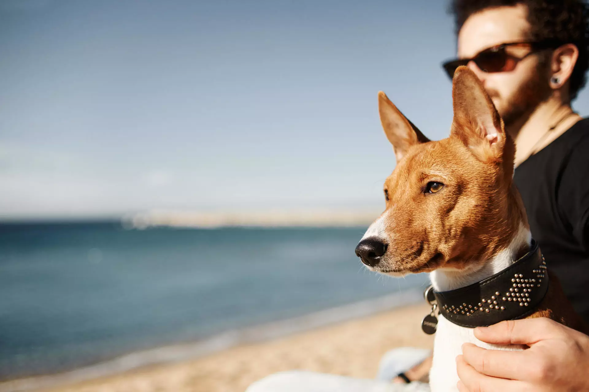 hombre-su-perro-playa-admirando-mar